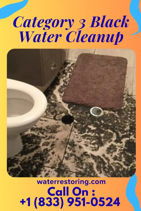 Category 3 Black Water Cleanup in Tysons, VA