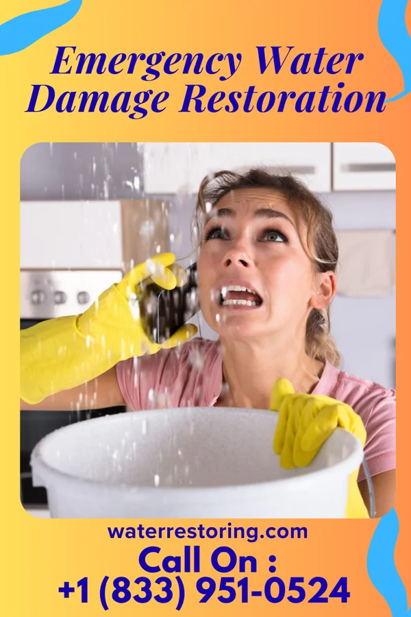 Emergency Water Damage Restoration in Tysons, VA
