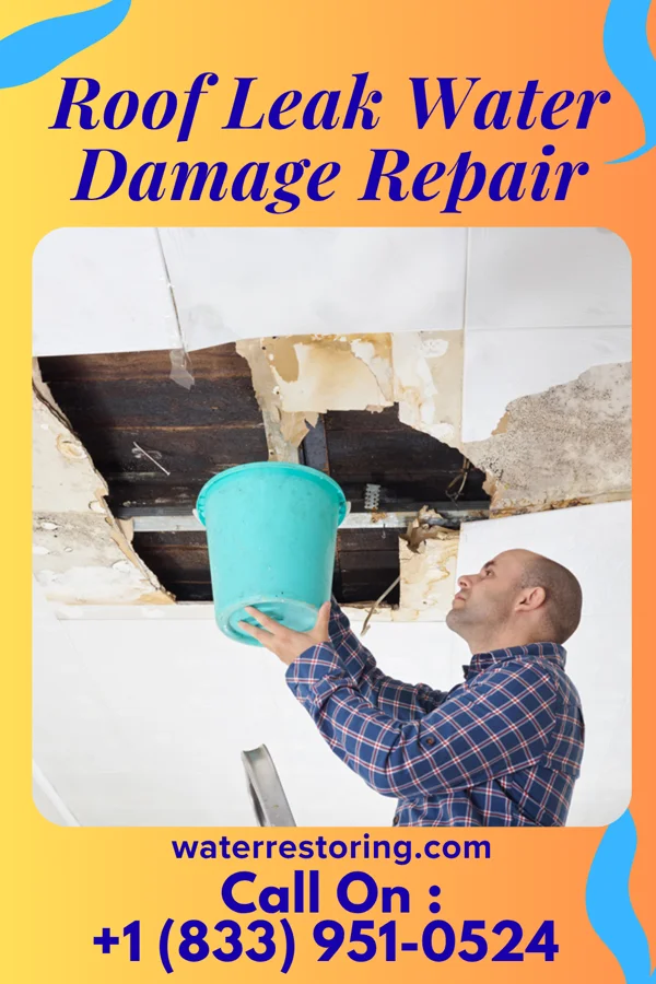 Roof Leak Water Damage Repair in Tysons, VA